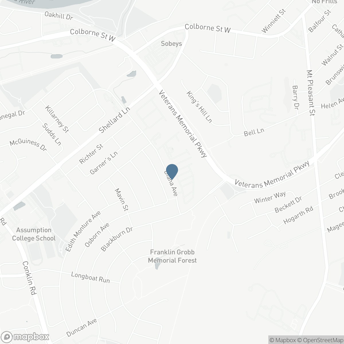 77 DIANA Avenue Unit# 160, Brantford, Ontario N3T 0R6